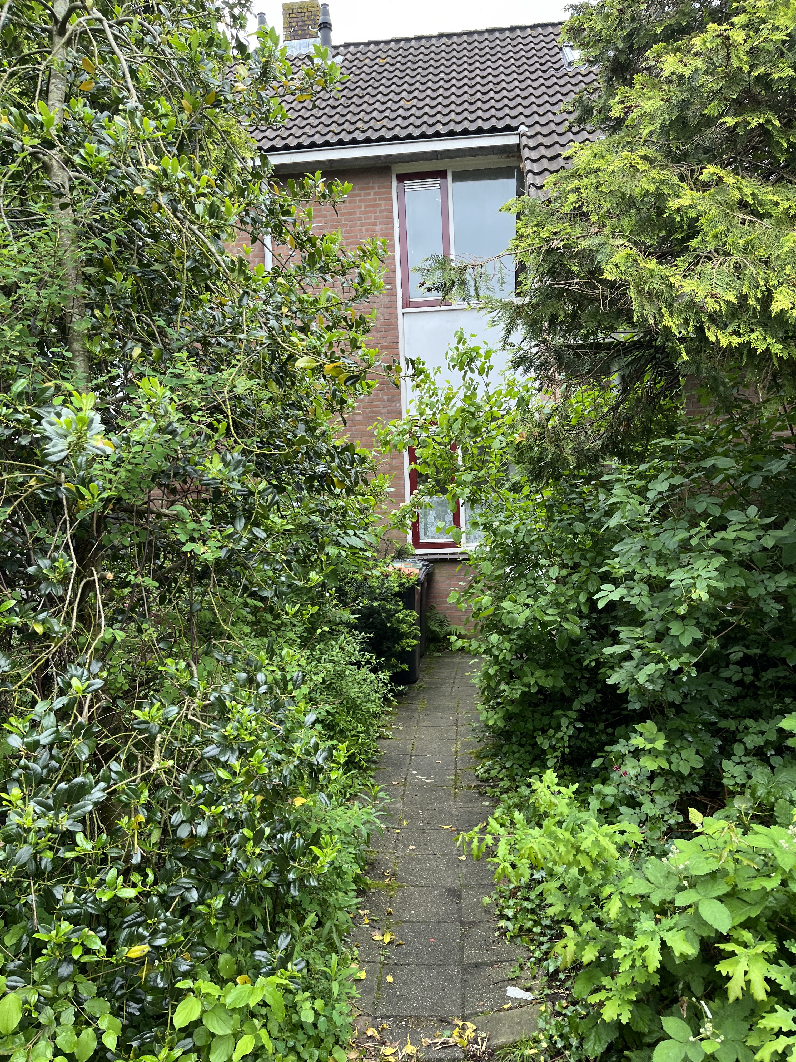 Koekoeksbloem 3, 1902 GK Castricum, Nederland