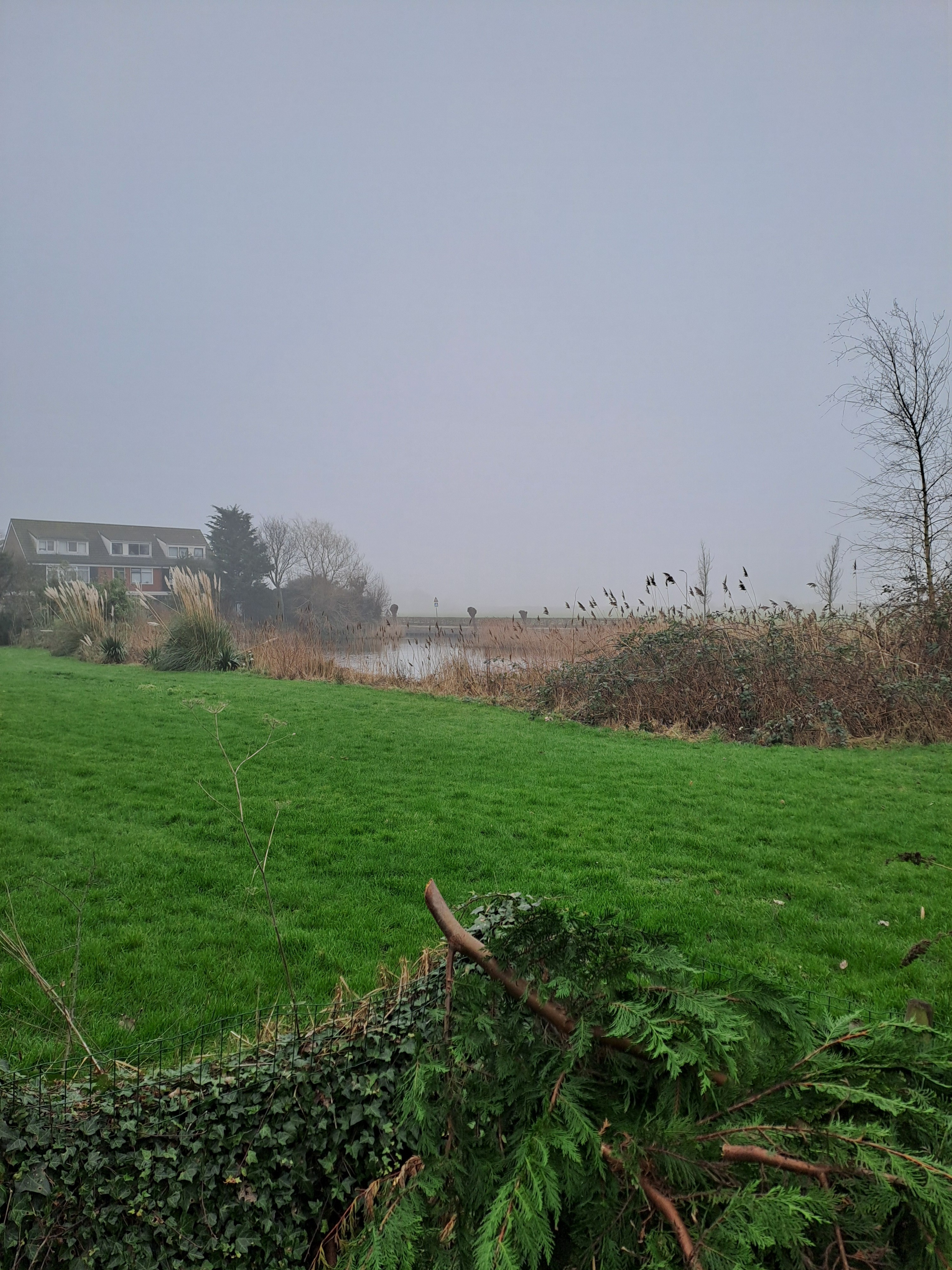 Nesdijk 83
