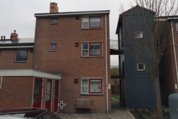 Dotterbloem 15