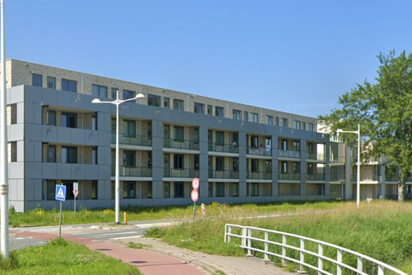 Zaaijweide 44