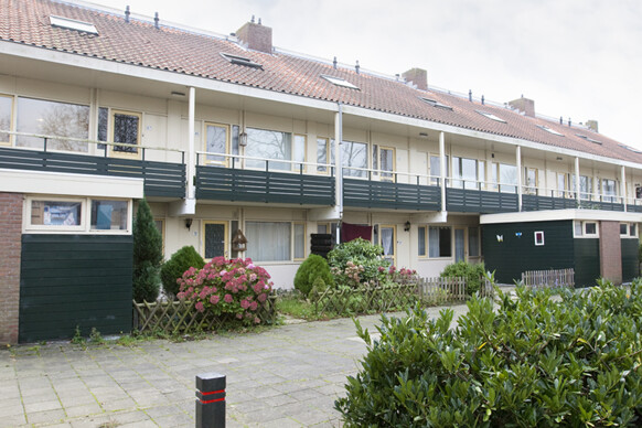 Sternstraat 41