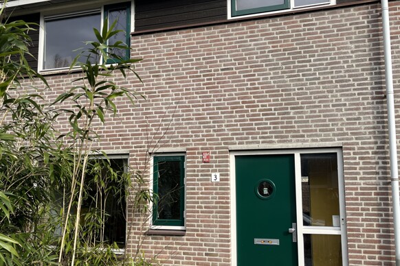 Tulpenveld 3