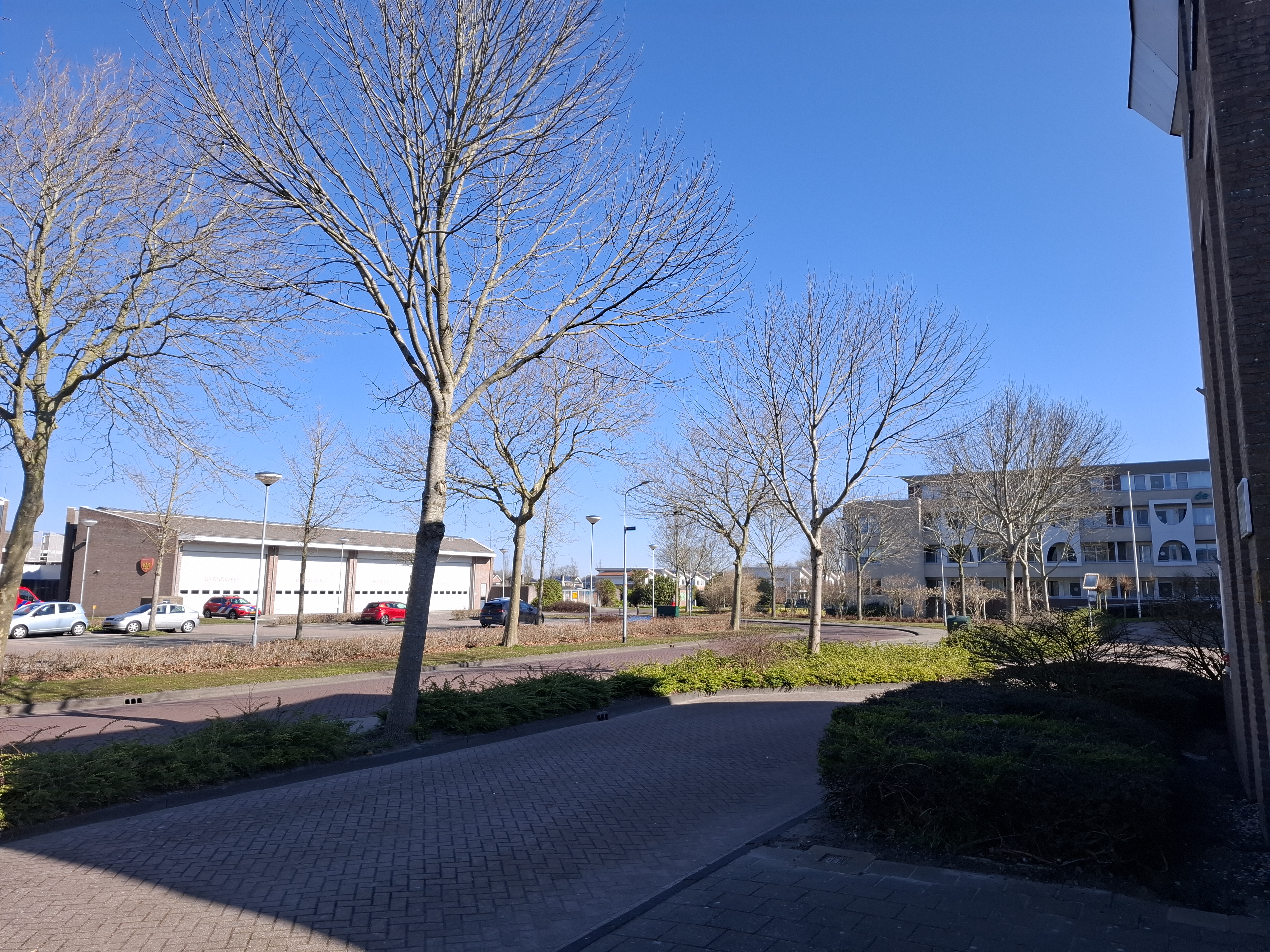 Schout 18