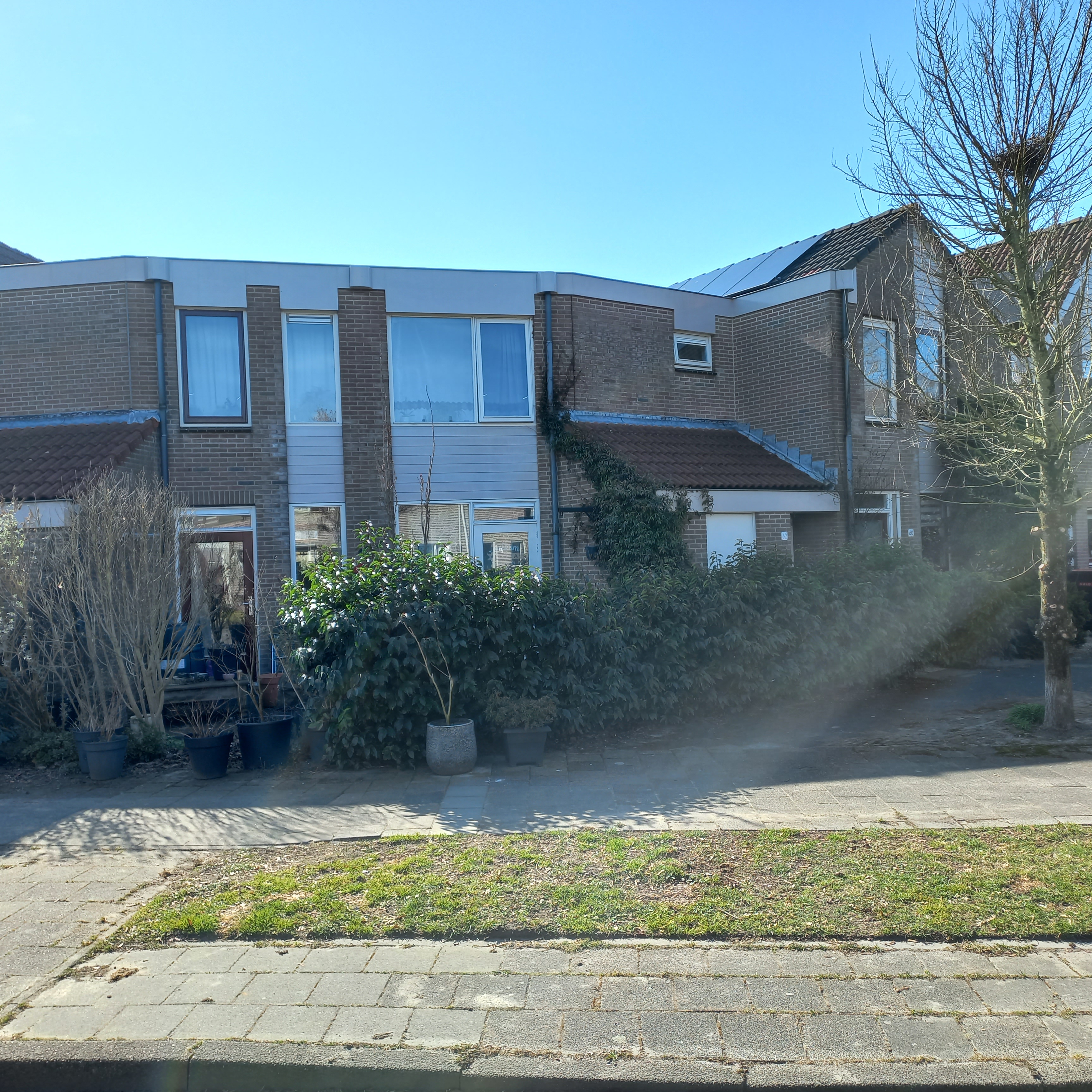 Tulpenveld 62
