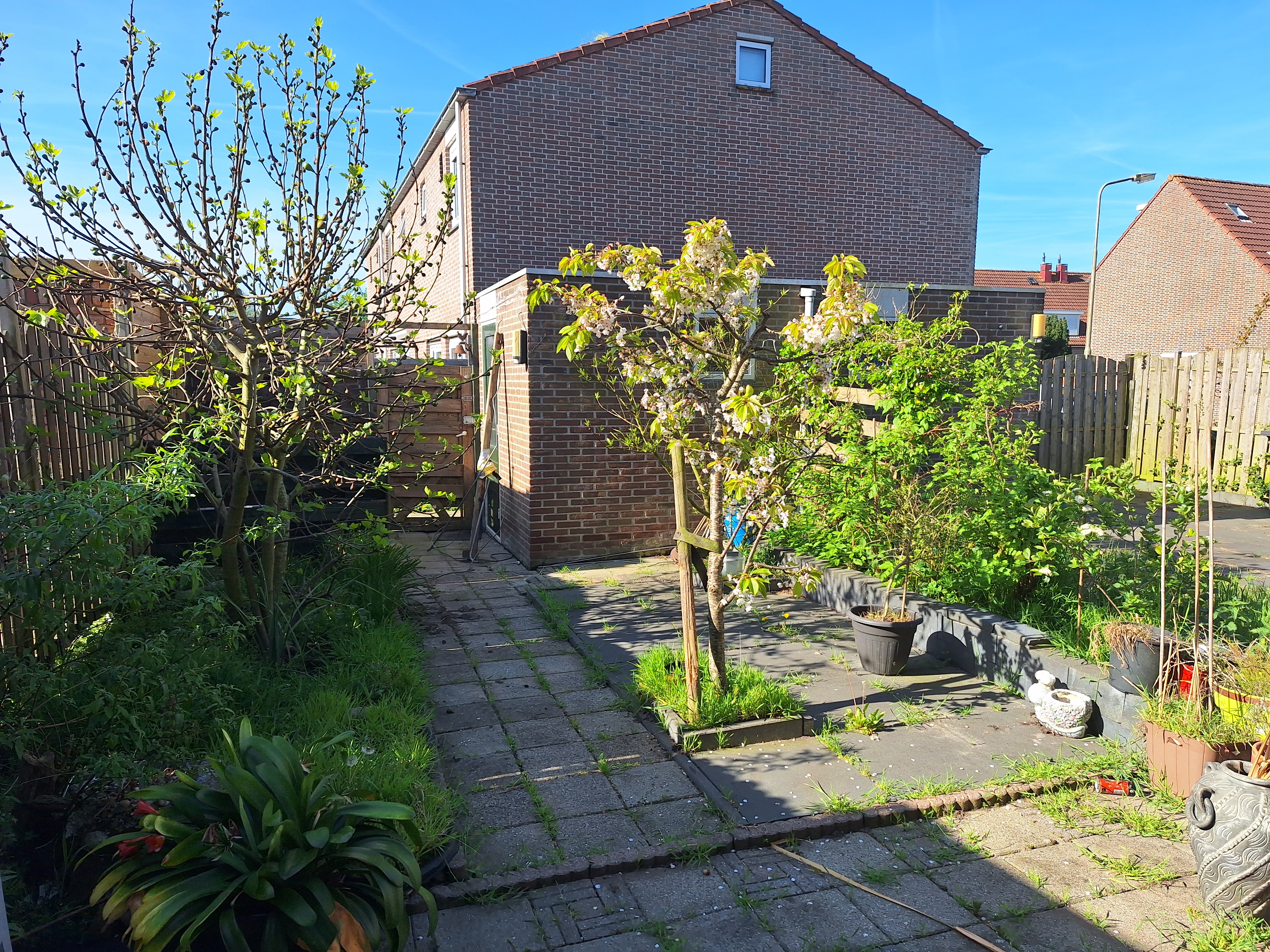 De Hollandse Tuin 22