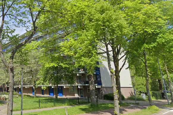 Muiderwaard 403