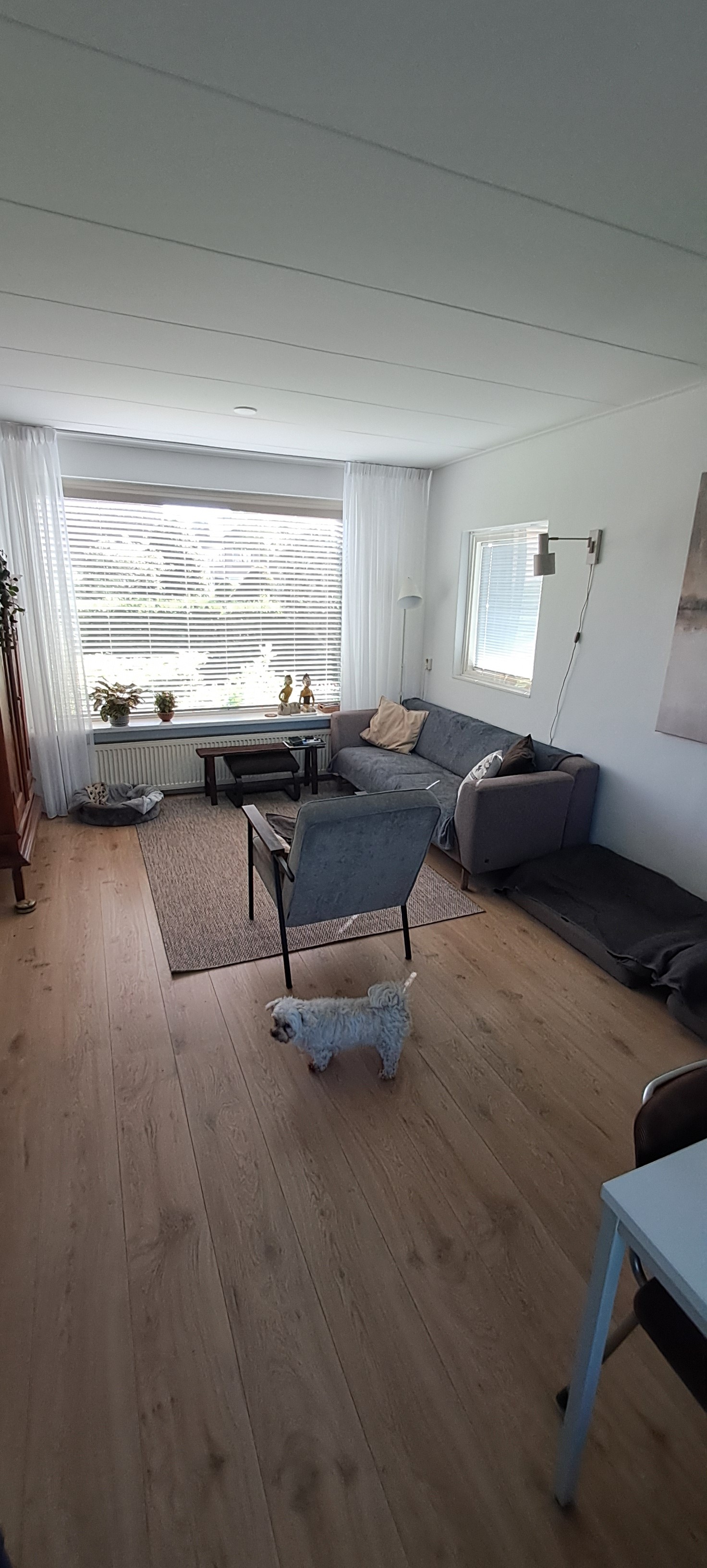 Prinses Margrietlaan 15