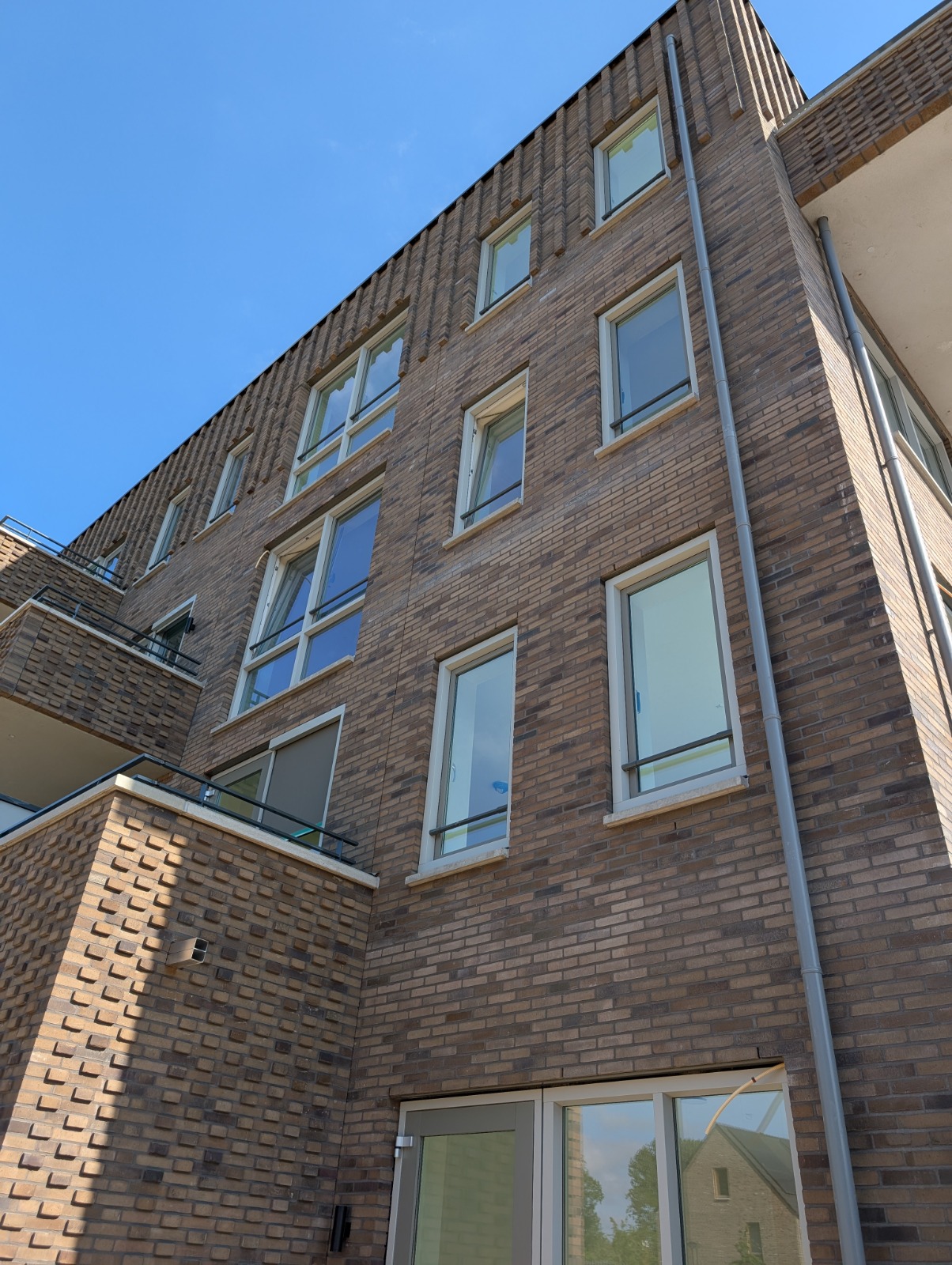 Boerenzwaluwstraat 39