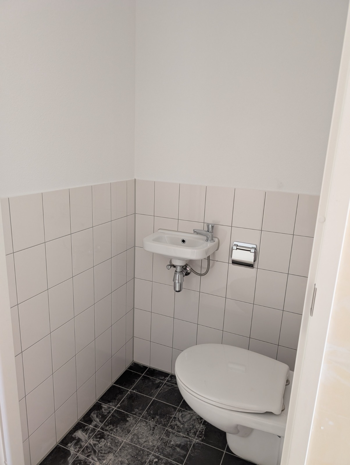 Boerenzwaluwstraat 17