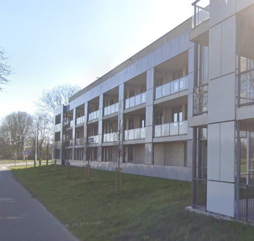 Zaaijweide 50