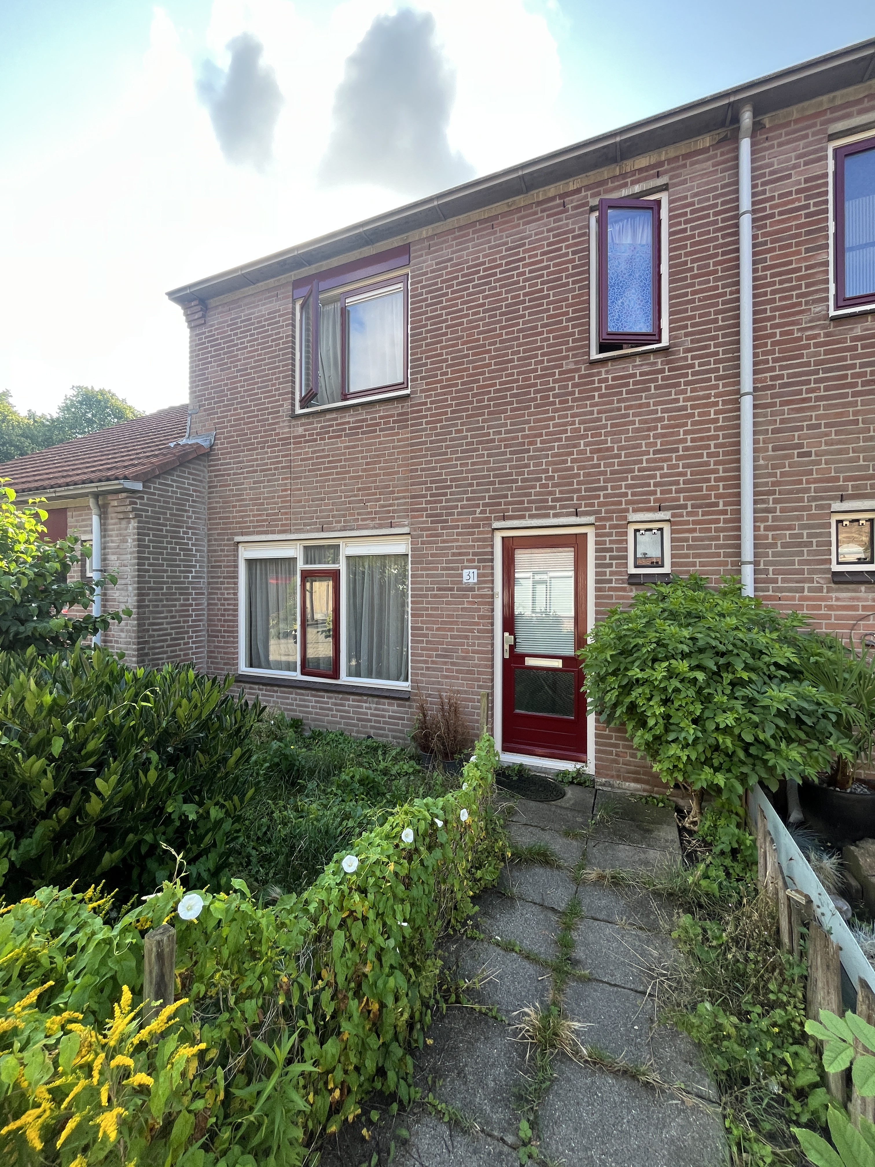 Eggestraat 31, 1825 MC Alkmaar, Nederland