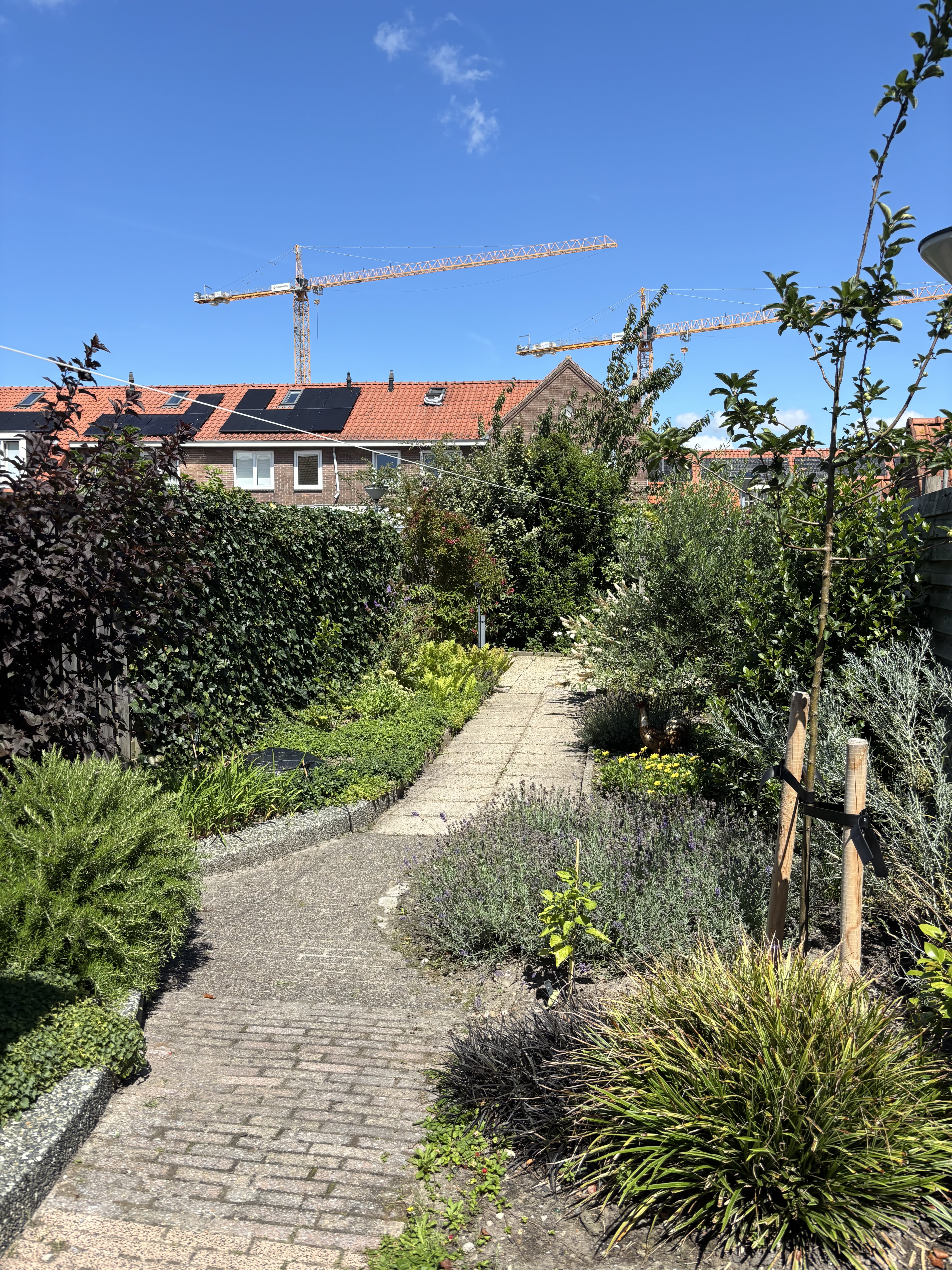 P.A. de Langeplein 31