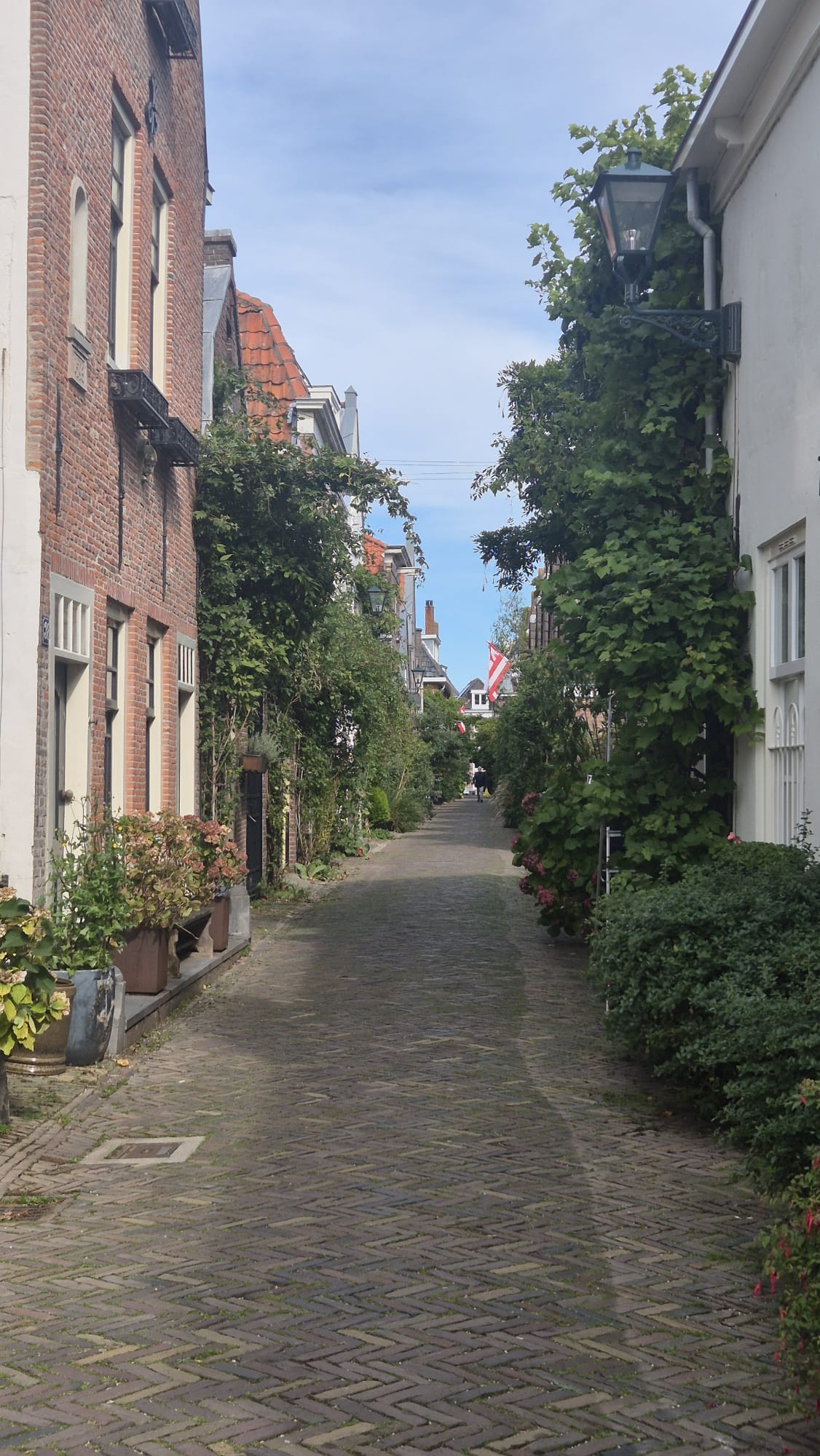 Sint Jacobstraat 17