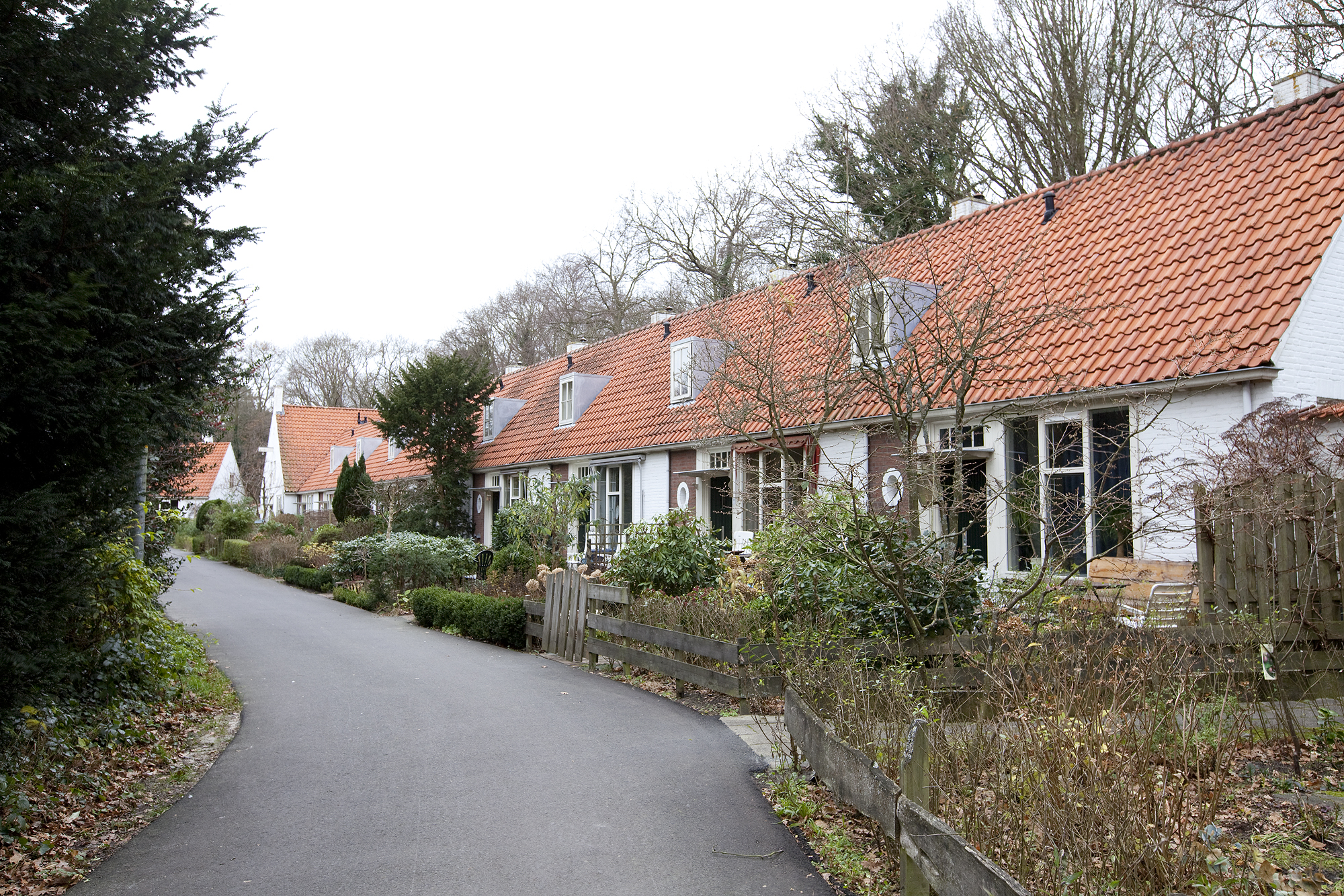 Merelhof 34, 1861 CW Bergen, Nederland