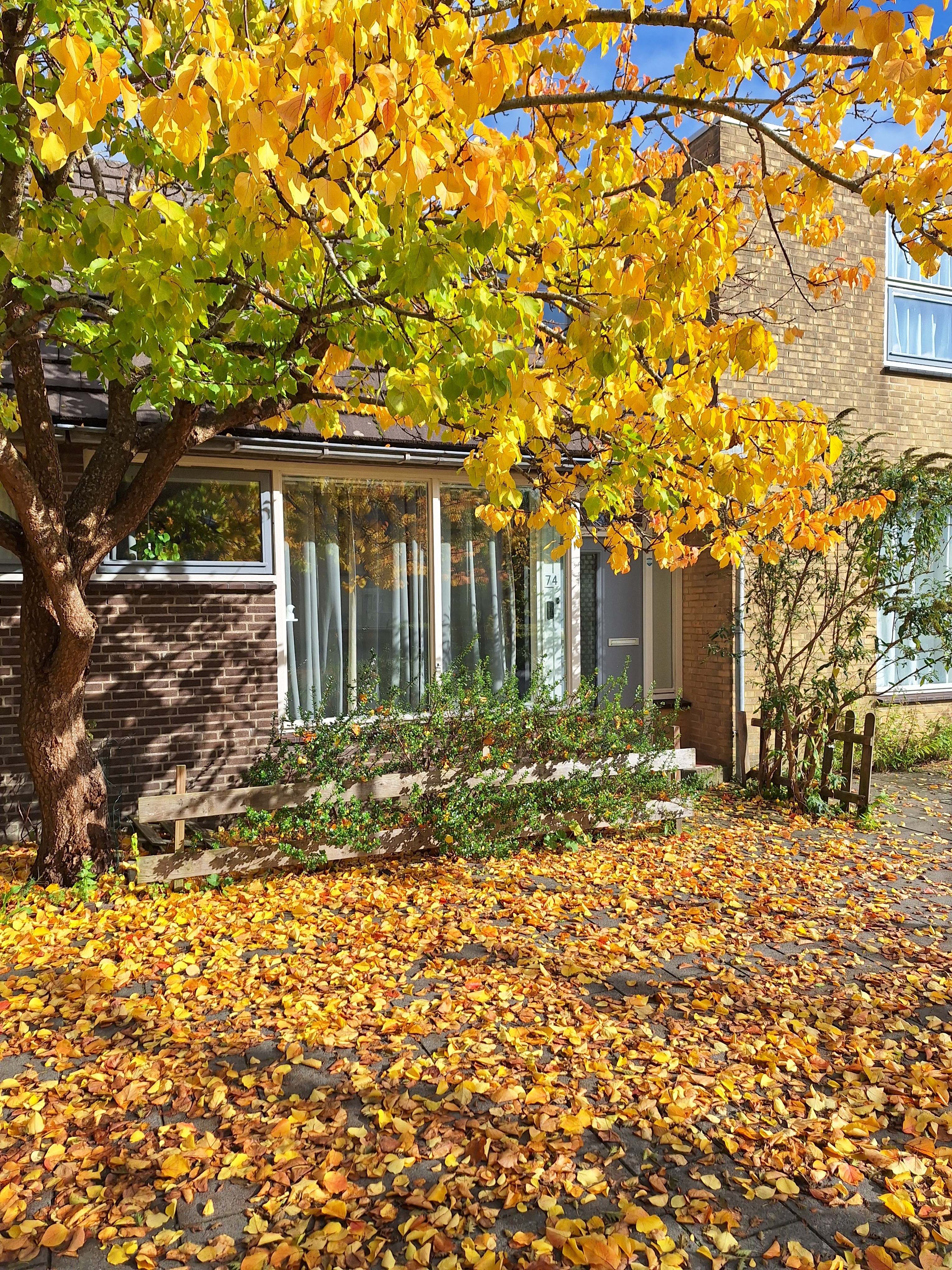 Spilstraat 74, 1825 JH Alkmaar, Nederland