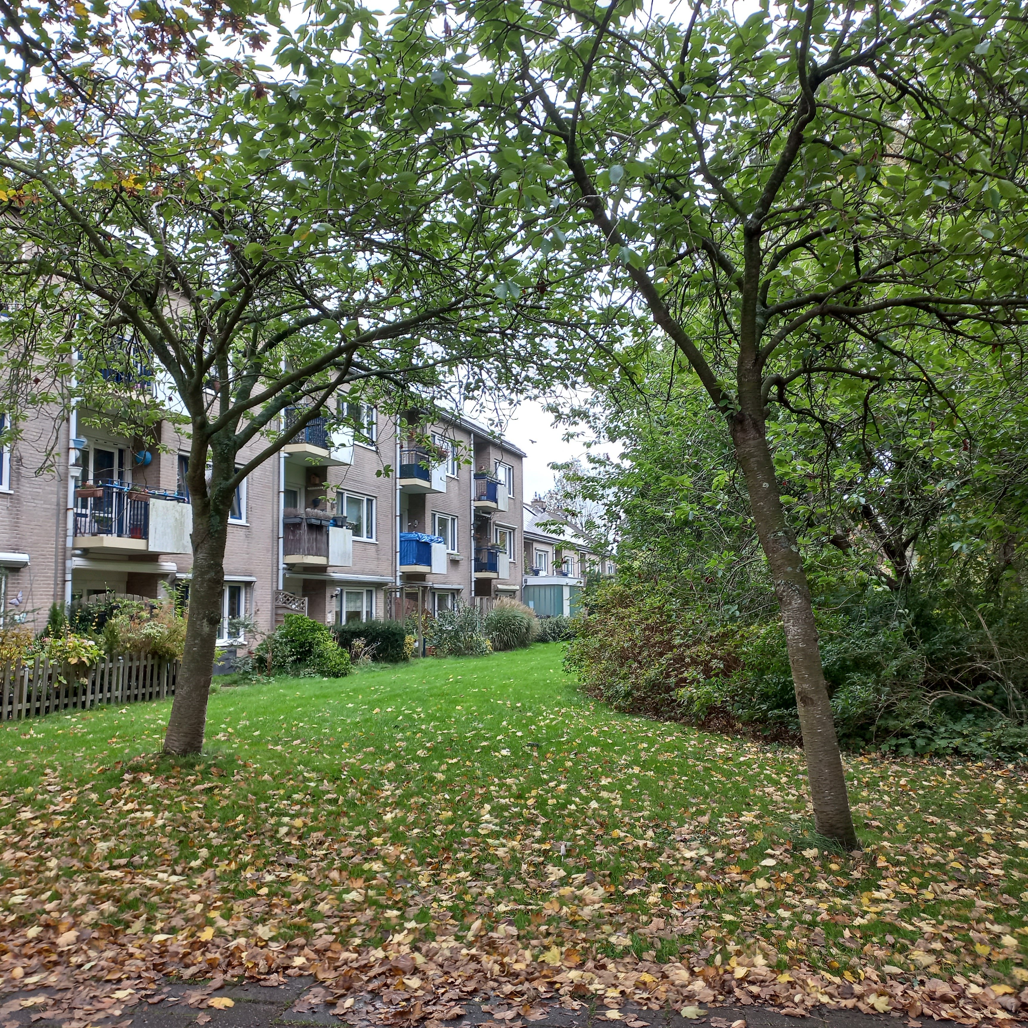 De Kandelaar 8, 1852 KJ Heiloo, Nederland