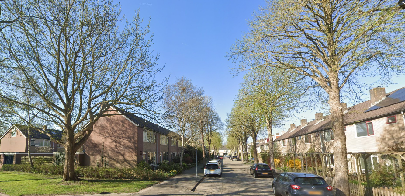 Stetwaard 5